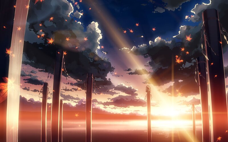 Wooden Poles at Sunset