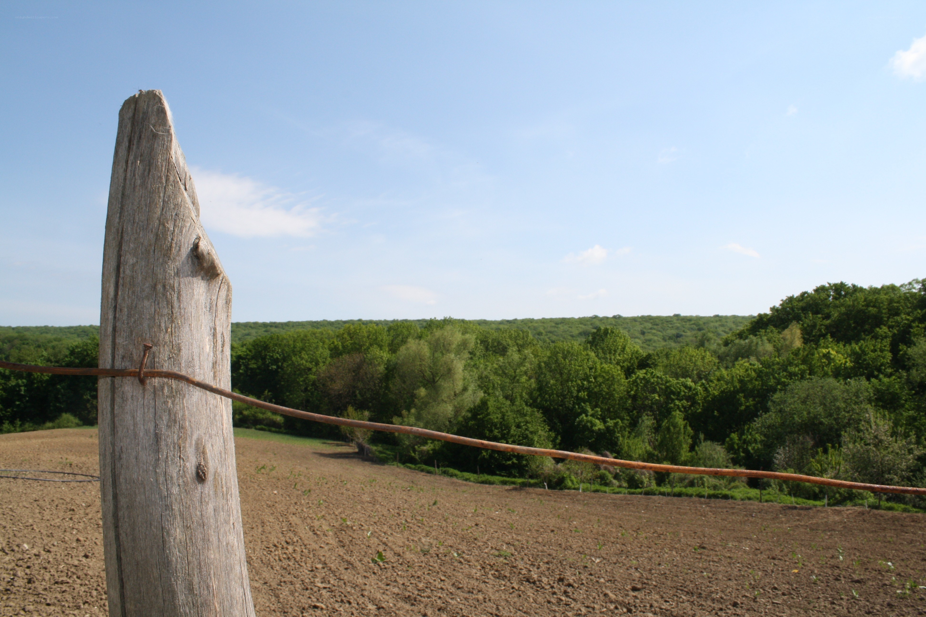 Wooden post in a field
