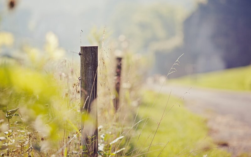 Wooden post in a field