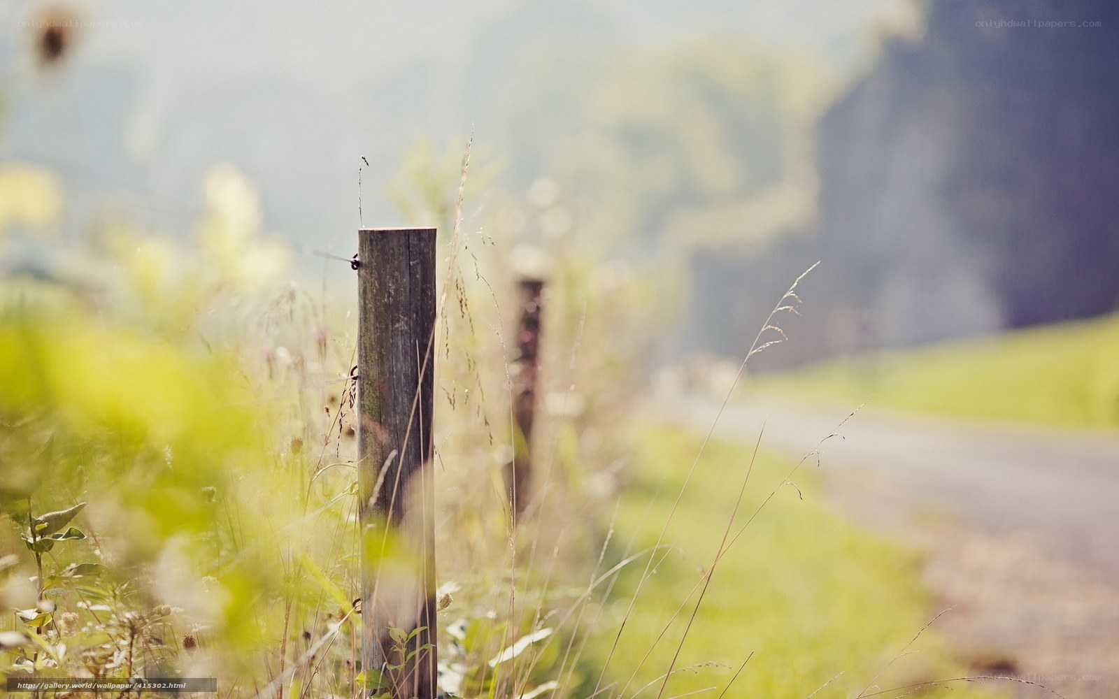 Wooden post in a field