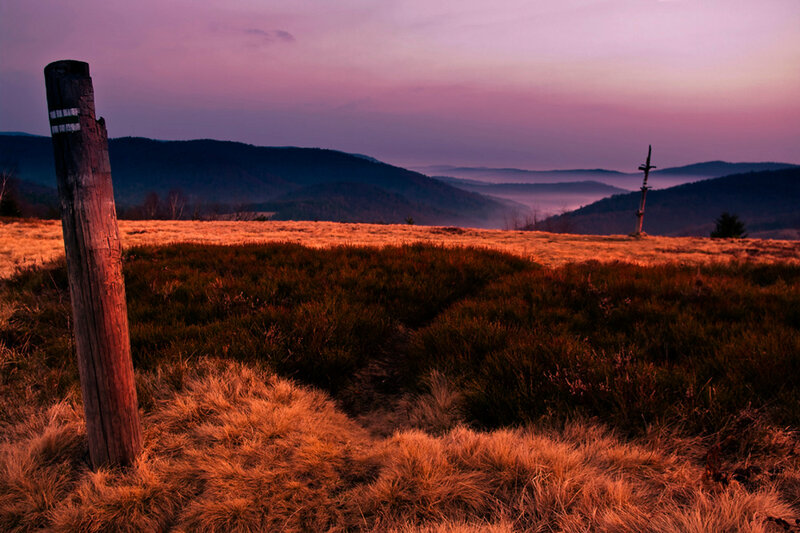 Wooden Post in Field