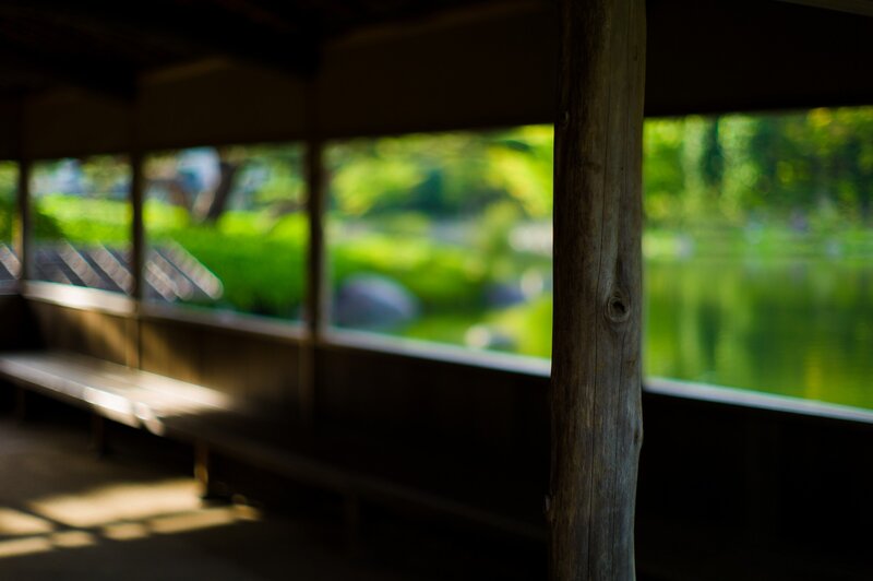 Wooden Post in Garden