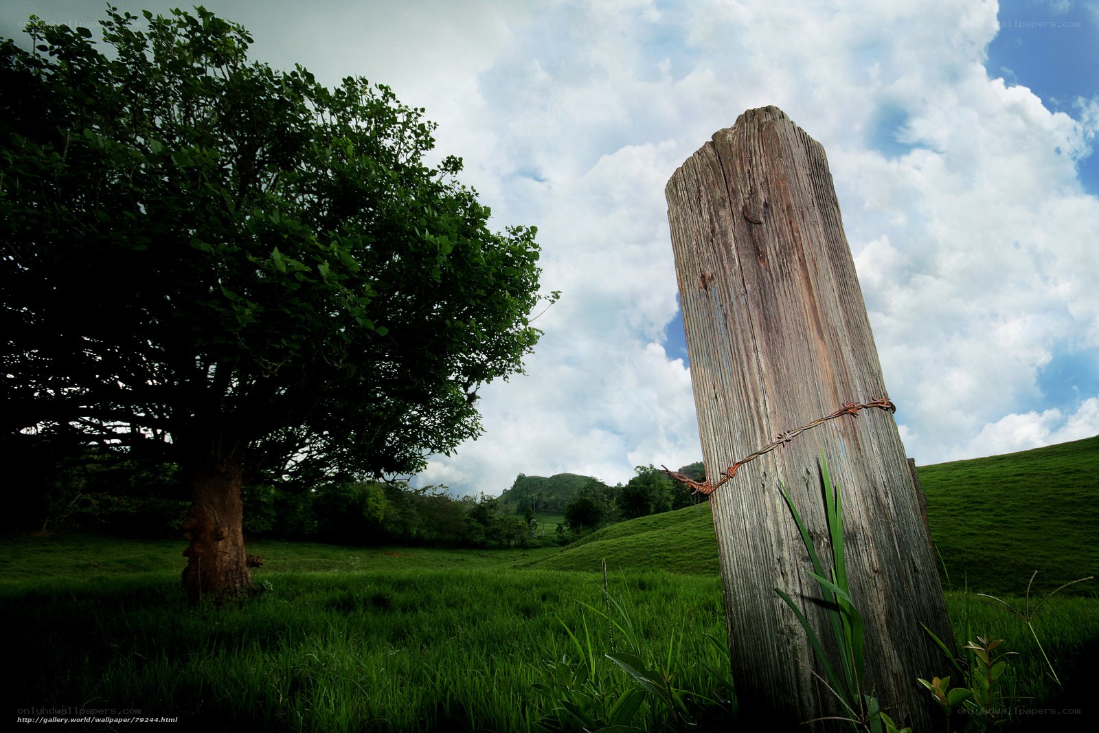 Wooden post in green field
