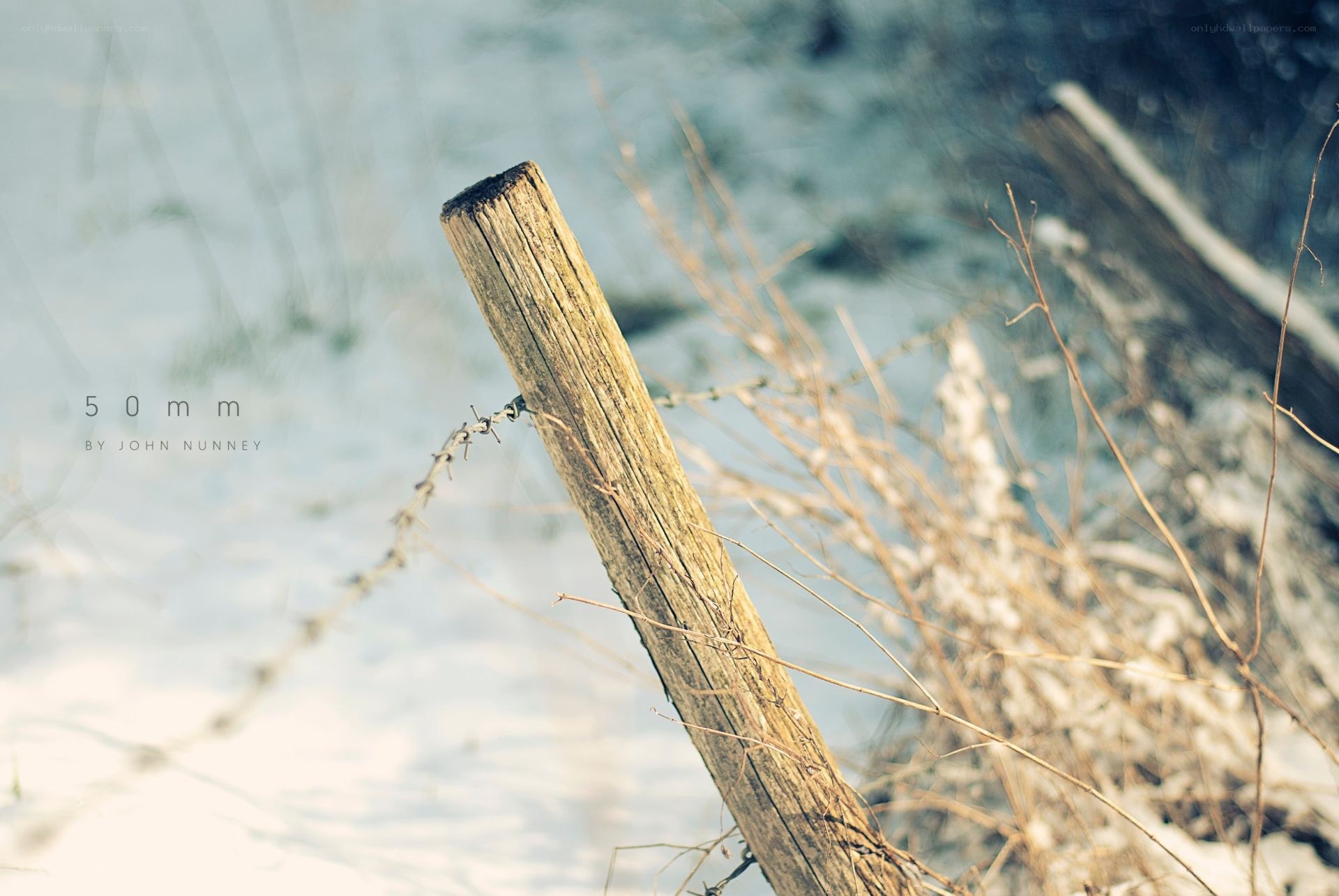 wooden post in snow