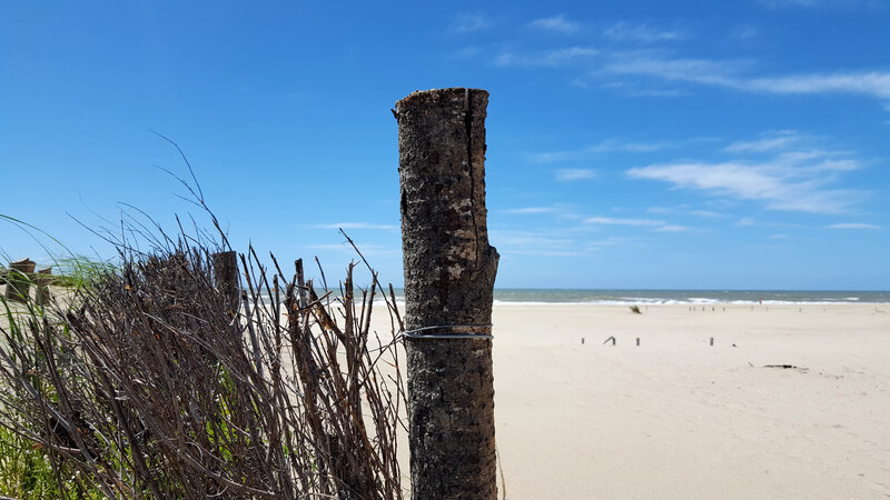 Wooden Post on Beach
