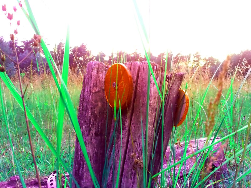 Wooden post with reflectors in grass