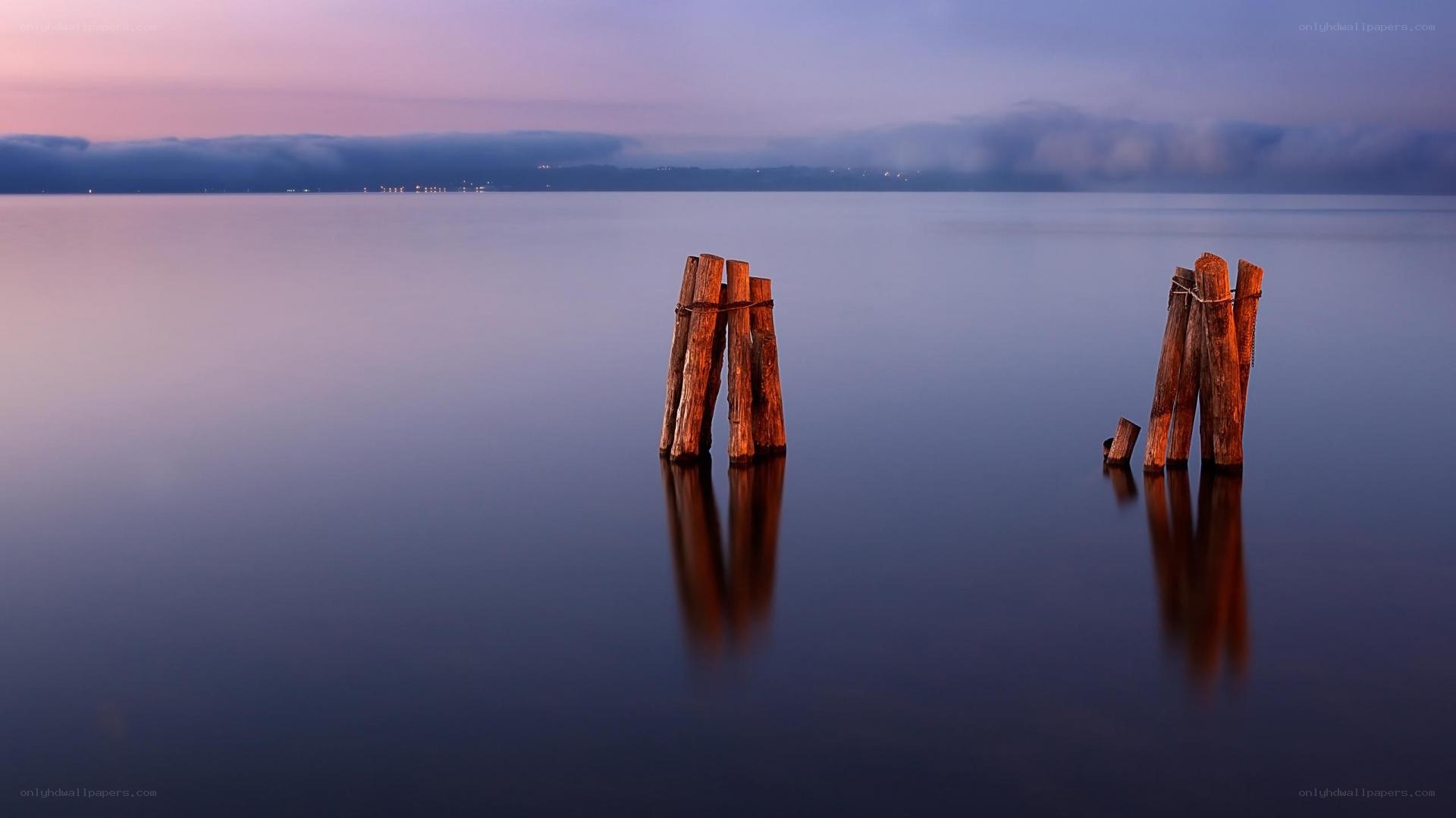 Wooden posts in calm water