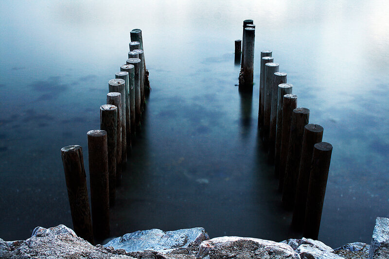 Wooden posts in calm water