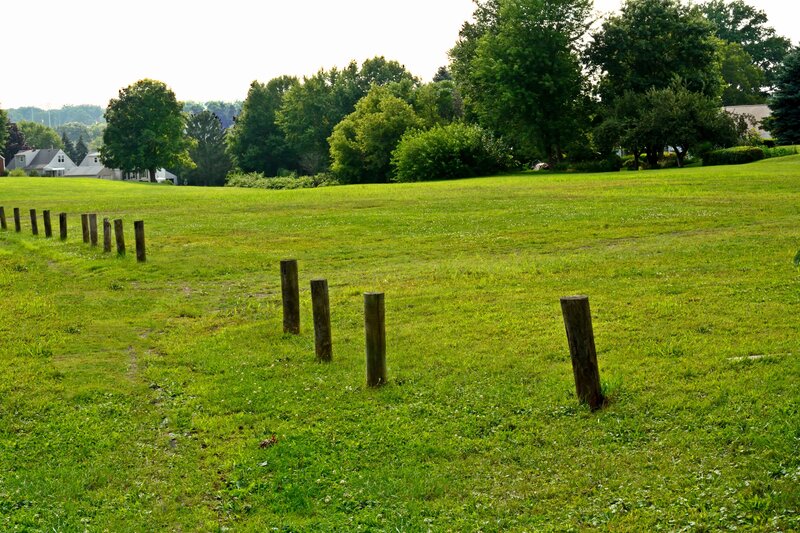 Wooden Posts in Field — Green