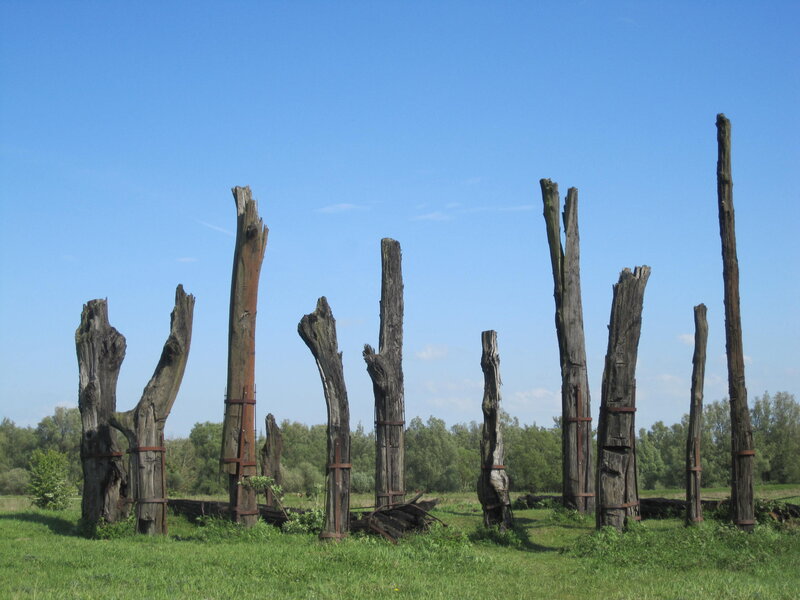 Wooden Posts in Field