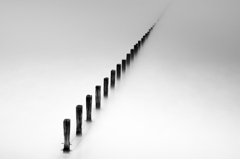 Wooden Posts in Fog