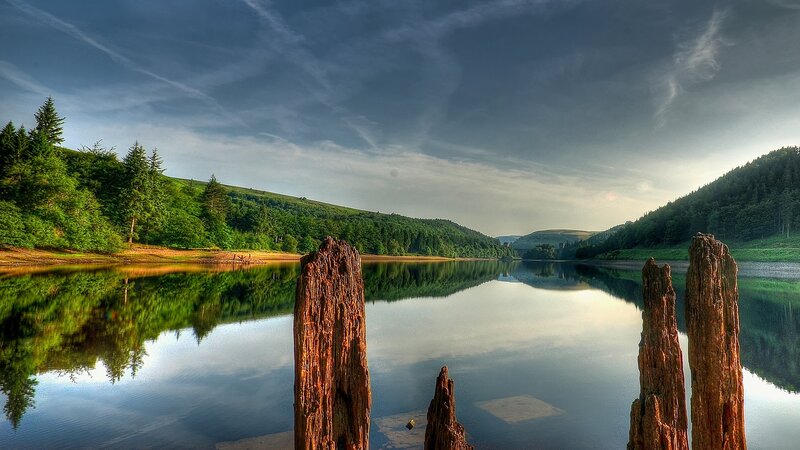 Wooden Posts in Lake — Green