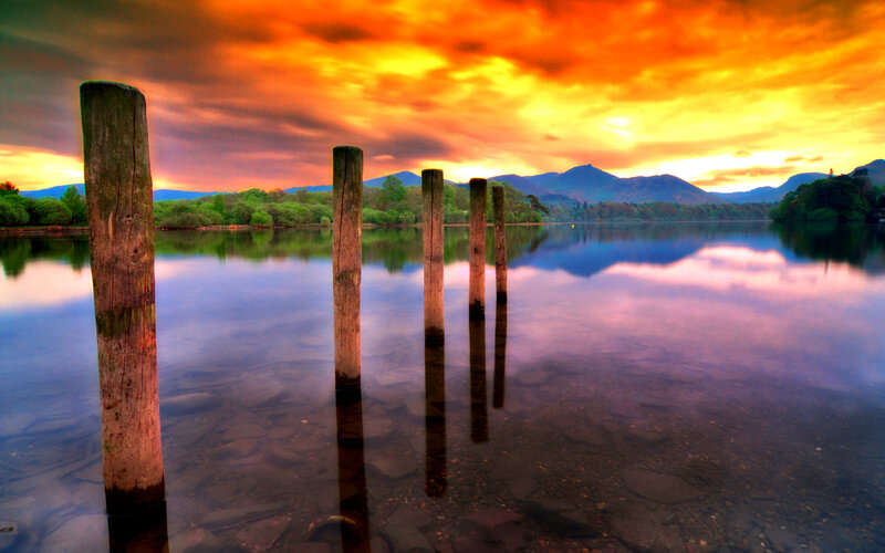 Wooden Posts in Lake