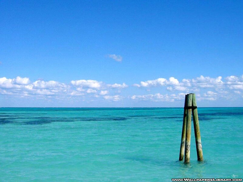 Wooden Posts in Ocean — Blue, Serene, Afternoon