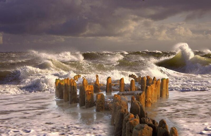 Wooden Posts in Ocean — Gray
