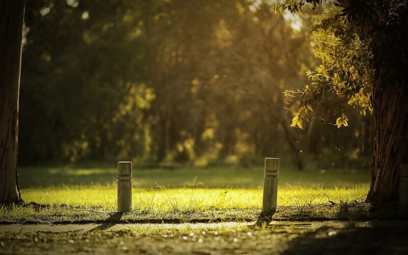 Wooden Posts in Park — Green