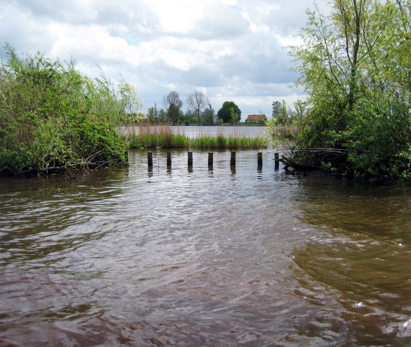 Wooden Posts in River