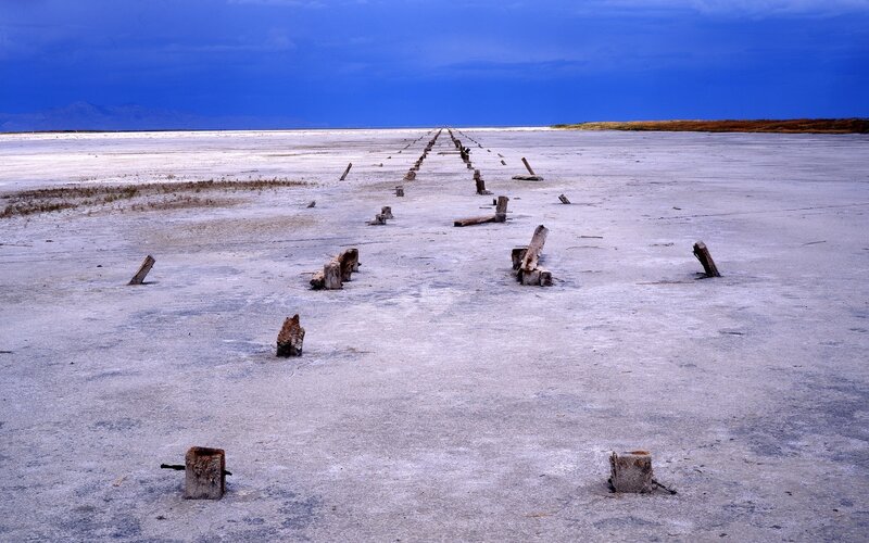 Wooden Posts in Salt Flat