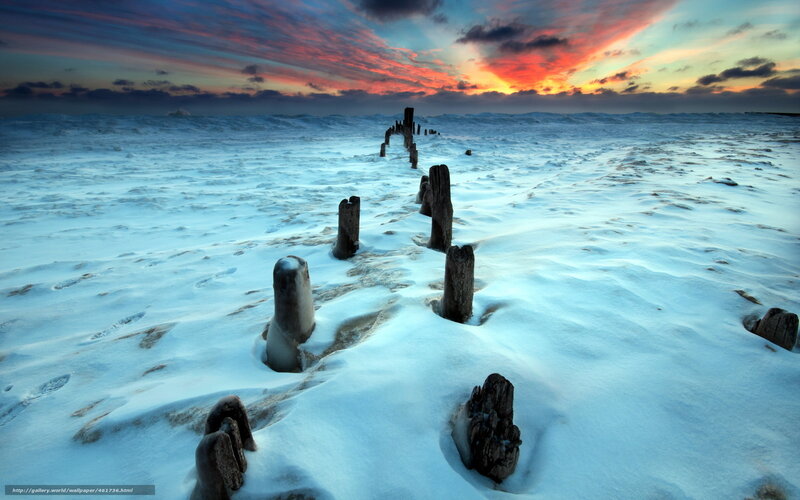 Wooden Posts in Snow