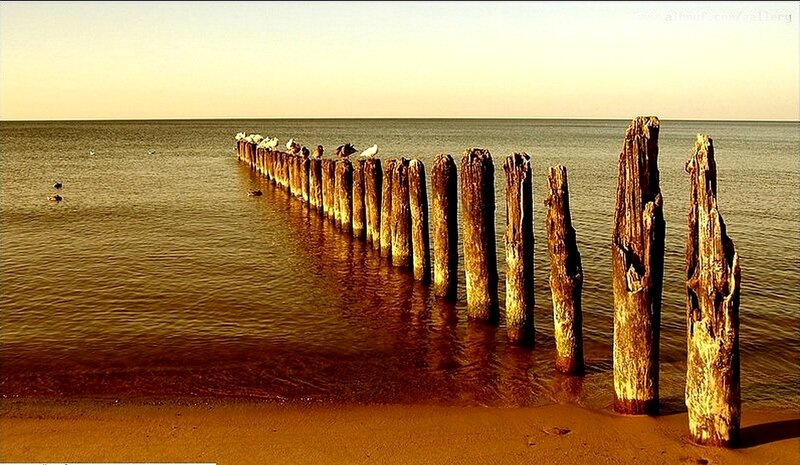 wooden posts in the sea