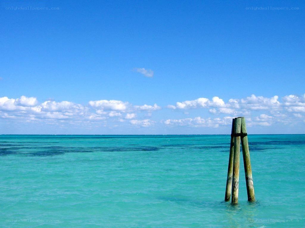 Wooden posts in turquoise water
