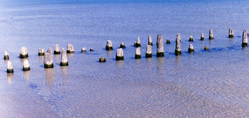 Wooden Posts in Water — Blue, Serene, Afternoon