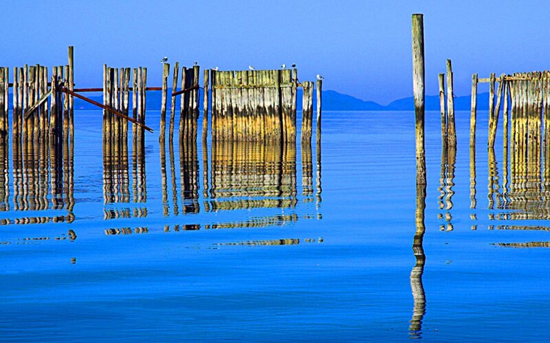 Wooden Posts in Water — Blue, Serene, Morning