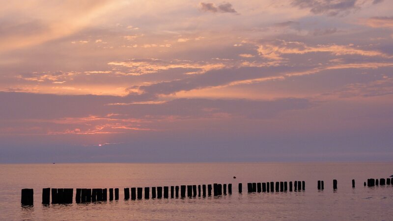 Wooden Posts in Water — Orange, Serene, Sunset