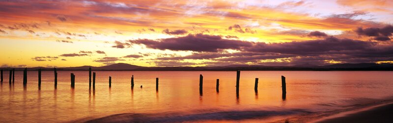 Wooden Posts in Water — Orange, Serene