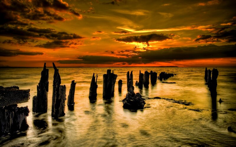 Wooden Posts in Water — Orange