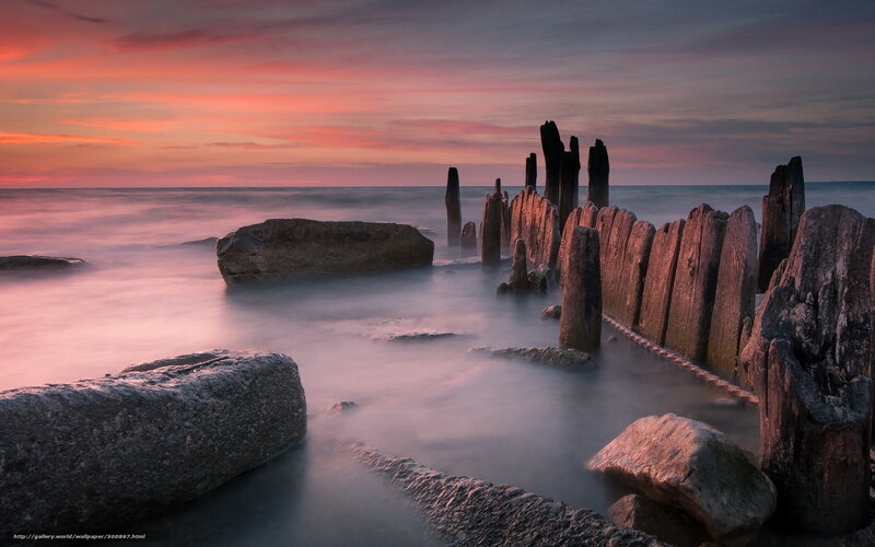 Wooden Posts in Water — Pink
