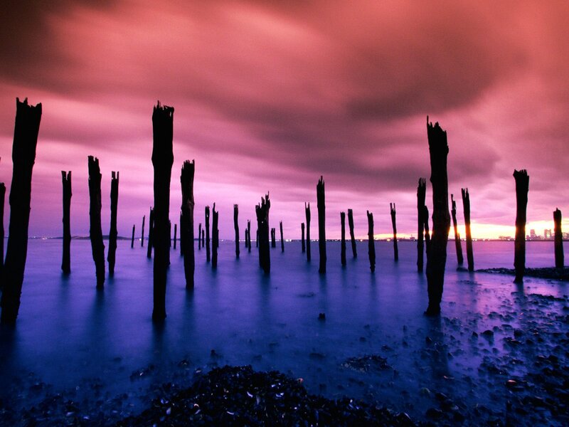 Wooden Posts in Water — Purple, Dramatic, Sunset