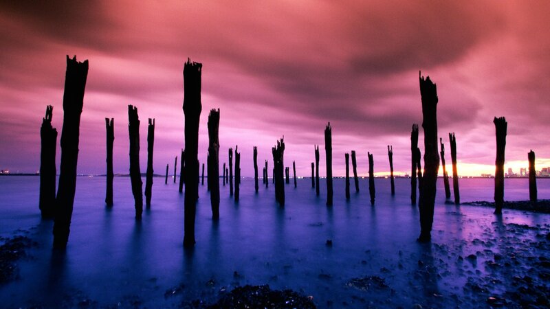 Wooden Posts in Water — Purple, Dramatic