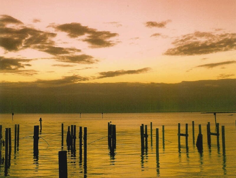 Wooden Posts in Water — Yellow