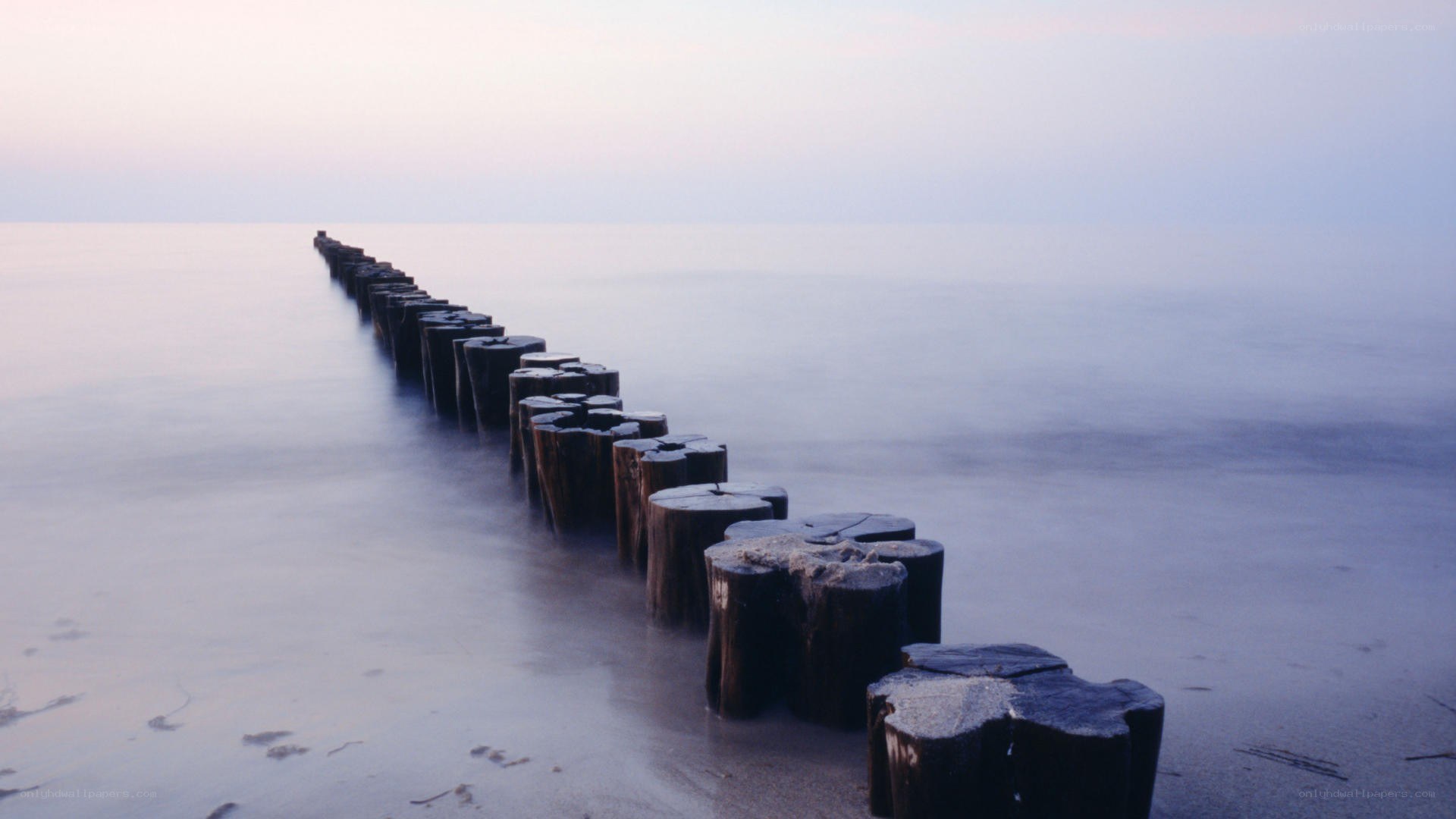 Wooden posts line a calm beach