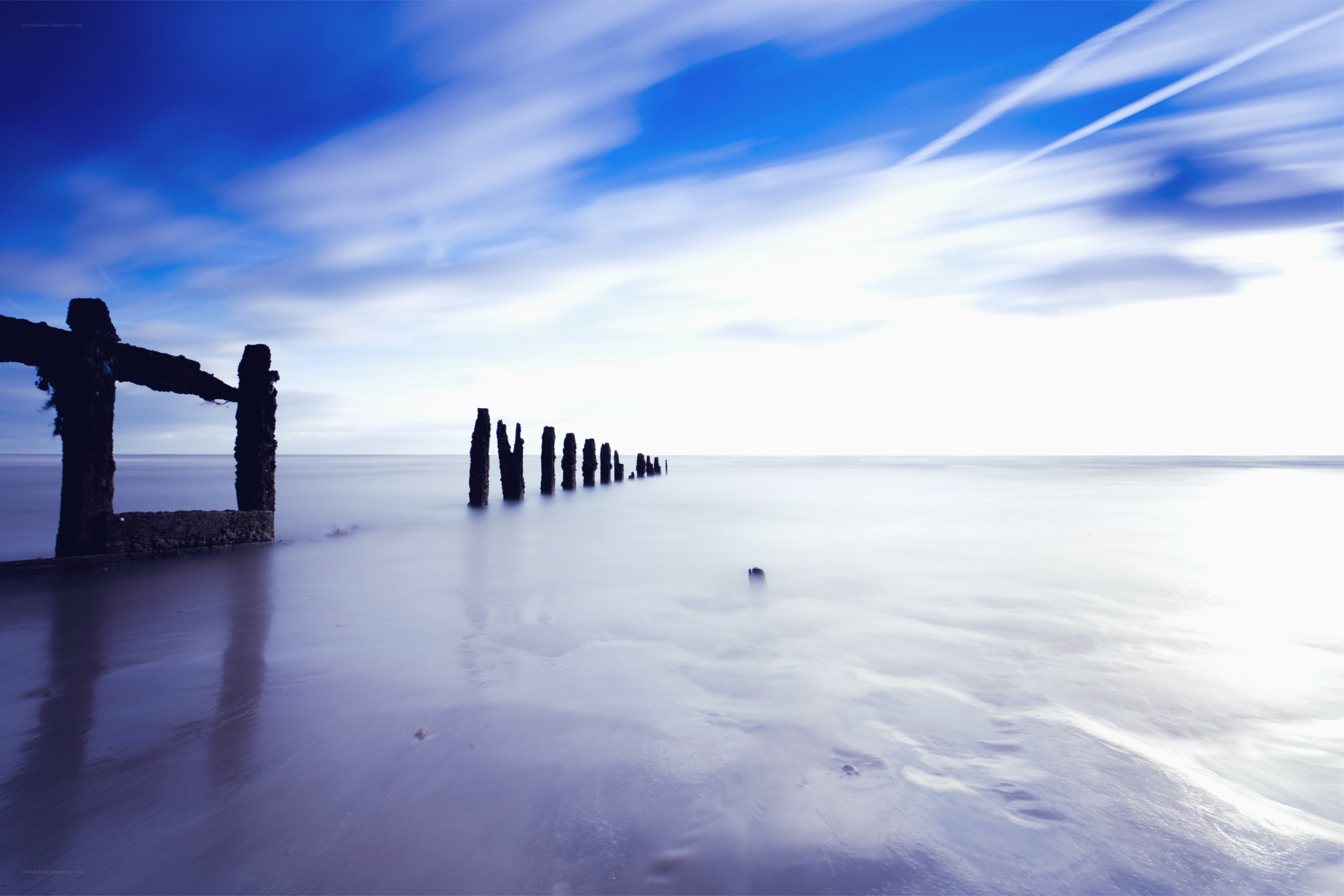 Wooden posts on a beach