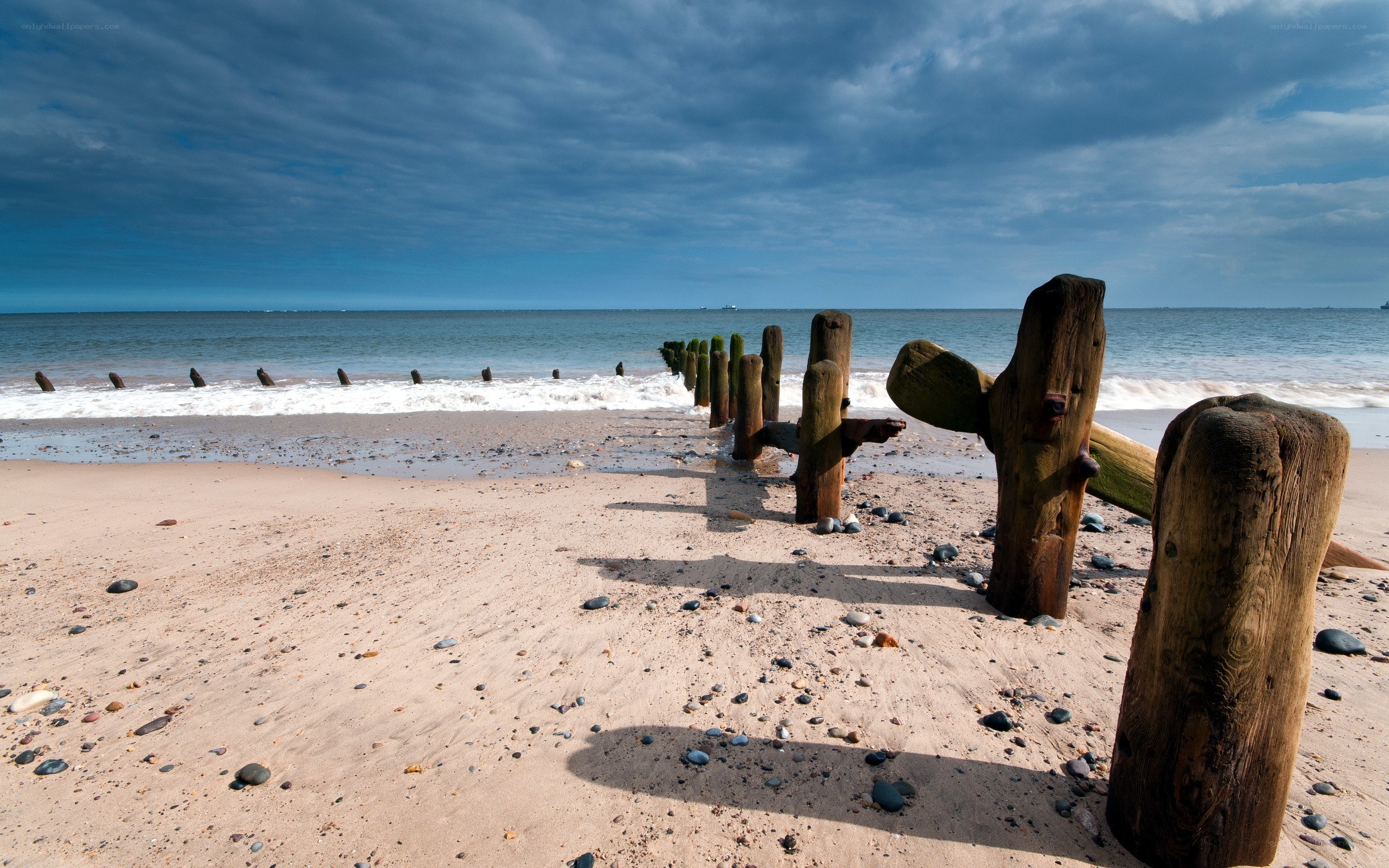 Wooden posts on a beach