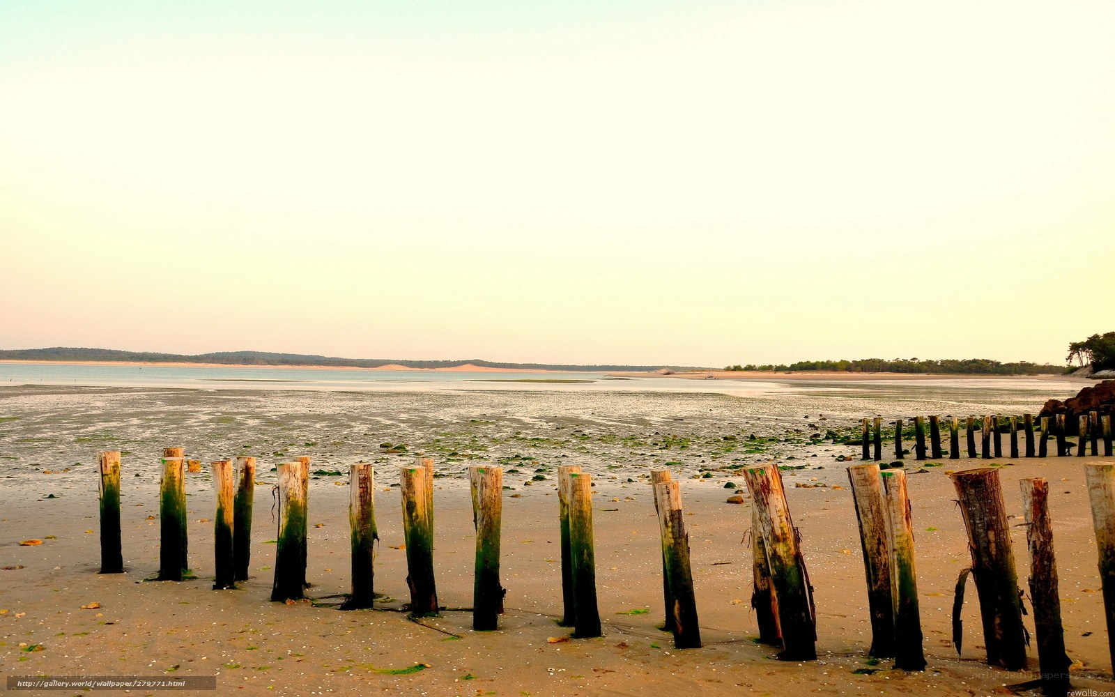 Wooden posts on a beach at low tide