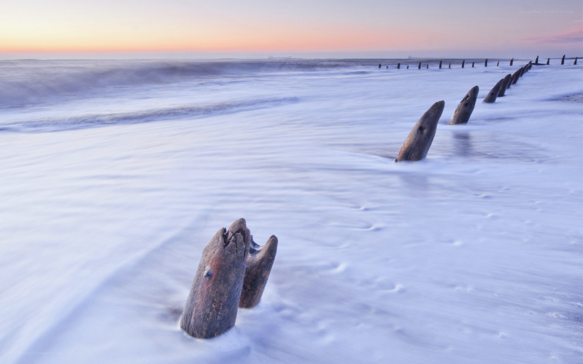 Wooden posts on a beach at sunset