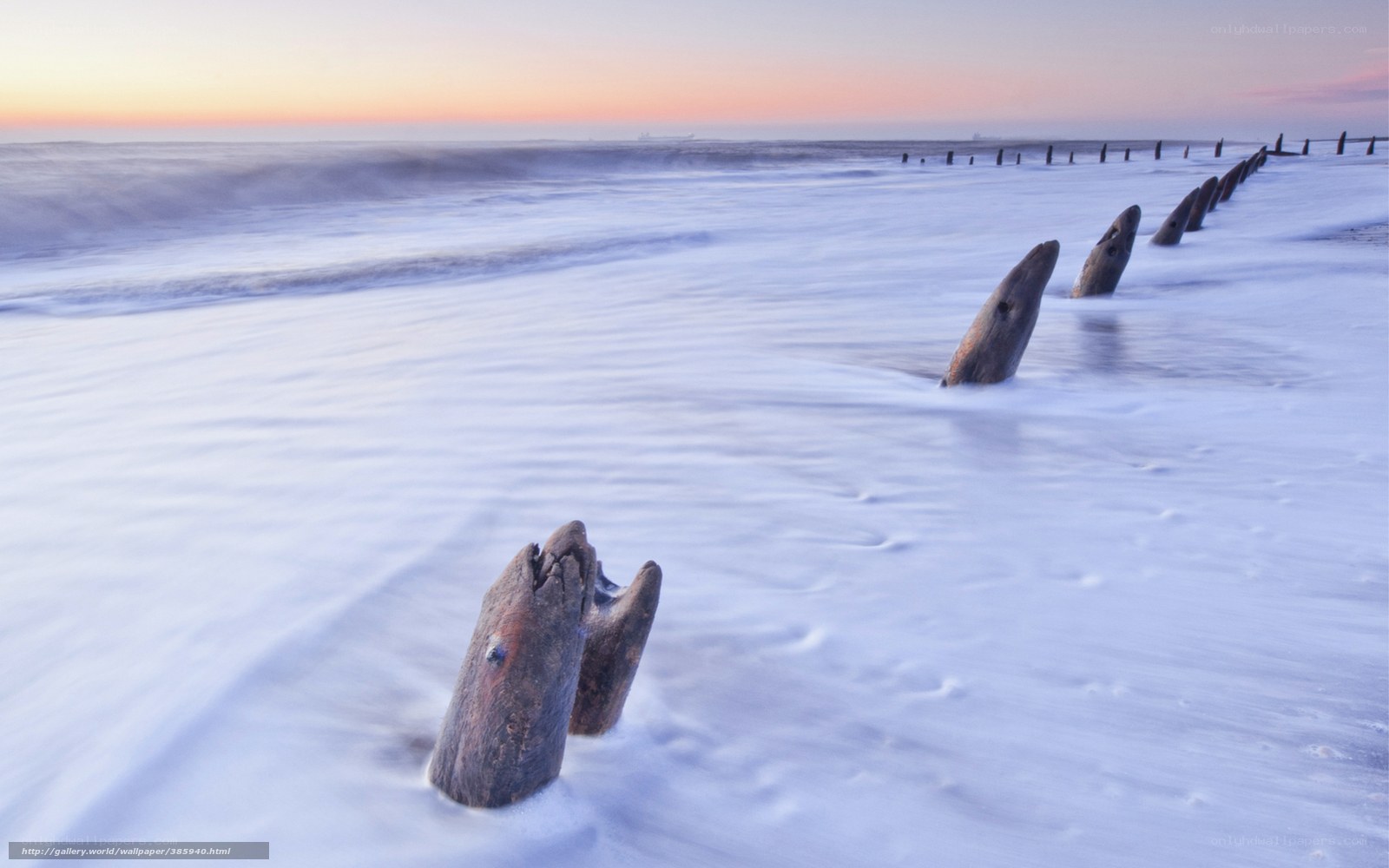 Wooden posts on a beach at sunset