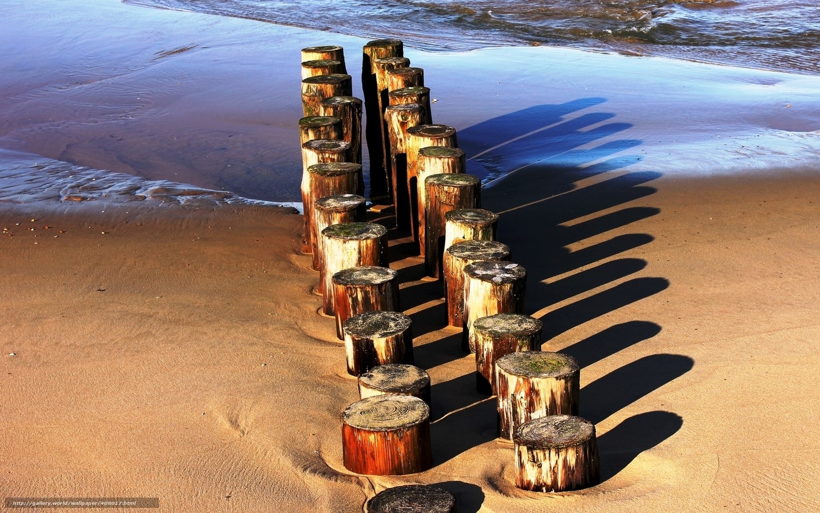 Wooden posts on a beach