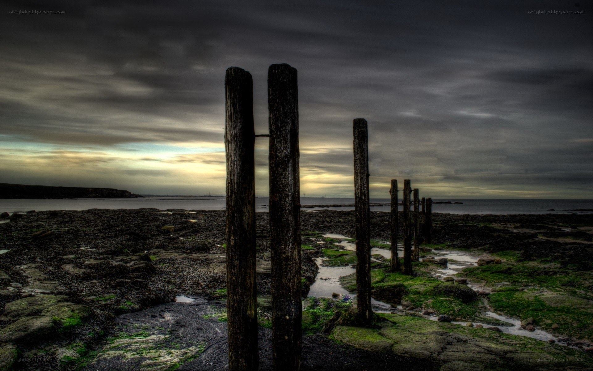 Wooden posts on a rocky shore