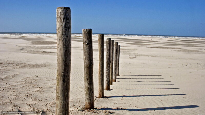 Wooden posts on a sandy beach