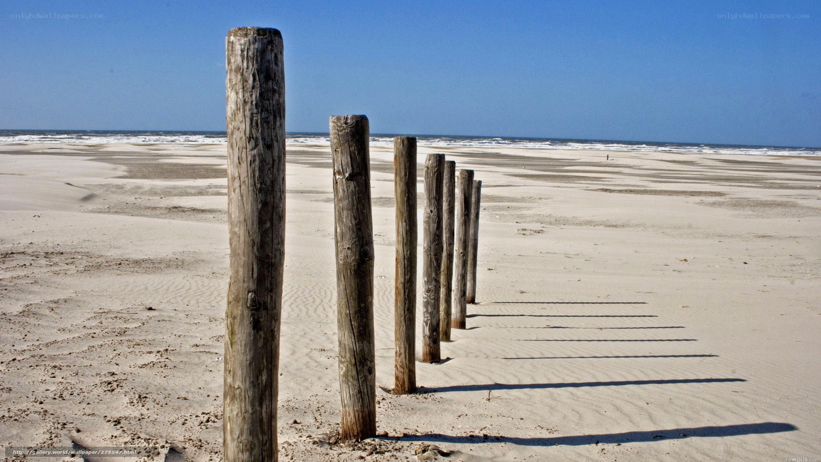Wooden posts on a sandy beach