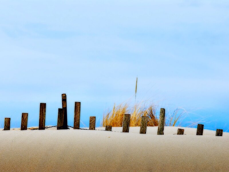 Wooden posts on a sandy dune