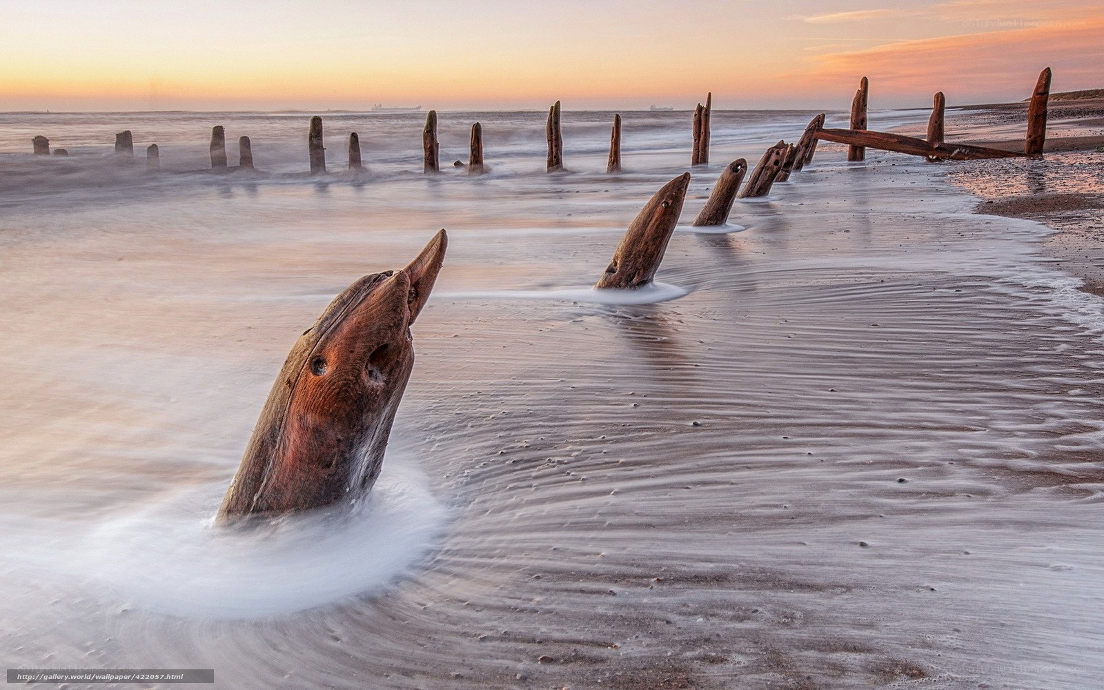 Wooden posts on beach at sunset