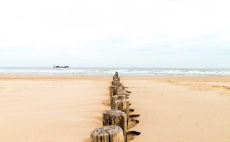 Wooden Posts on Beach — Beige