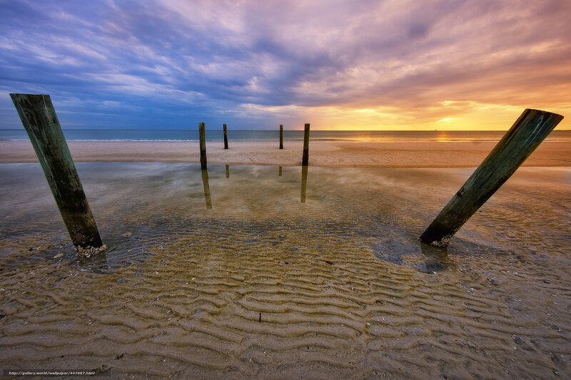 Wooden Posts on Beach — Blue, Dramatic, Sunset, Photograph