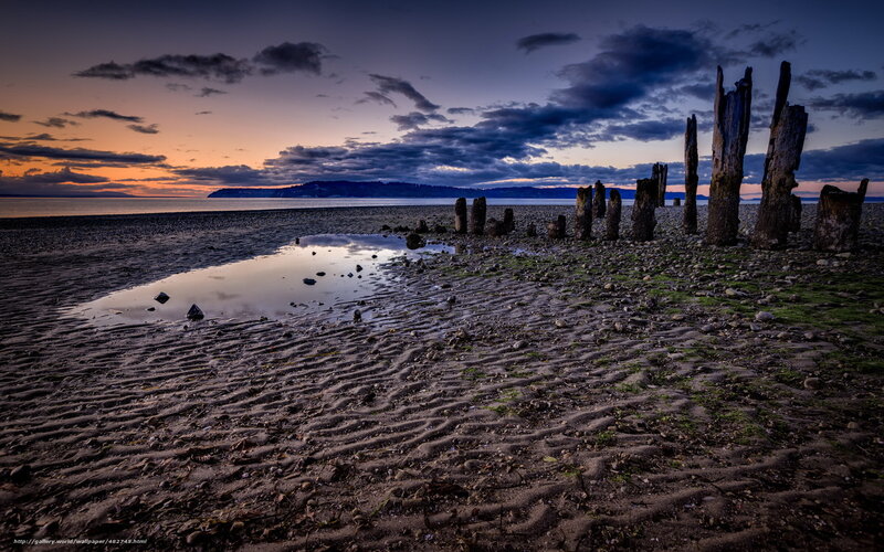 Wooden Posts on Beach — Blue, Dramatic, Sunset, Photograph, Water