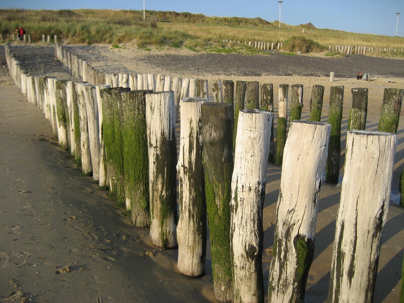Wooden Posts on Beach — Brown, Calm